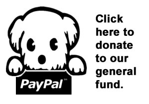 Click here to make a donation to our general fund.